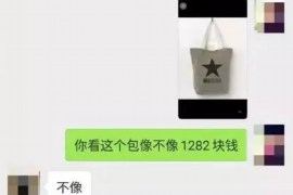 费县为什么选择专业追讨公司来处理您的债务纠纷？